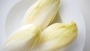 Chicor&eacute;e