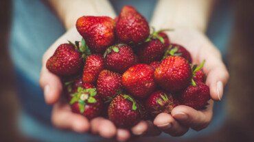 Erdbeeren &ndash; gesund und lecker