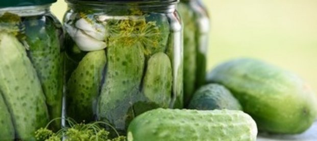 Fermentierte Lebensmittel