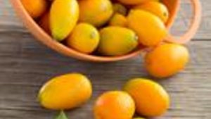 Kumquat: Klein aber fein