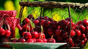 Sommerzeit ist Kirschenzeit