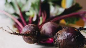 Rote Bete &ndash; rot, rund und gesund