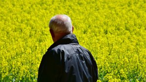 Fr&uuml;hlingsm&uuml;digkeit vorbeugen