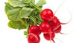 Radieschen &ndash; rot, rund und gesund