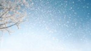 Sauerkraut – das gesunde Wintergemüse Sauerkraut – das gesunde Wintergemüse