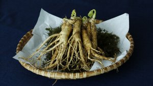 Gesunder Ginseng
