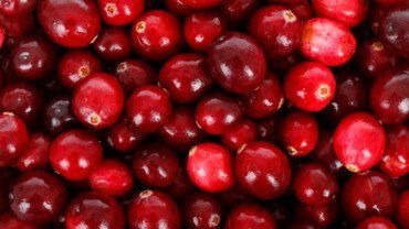 Preiselbeeren mit vielen gesunden Wirkstoffen