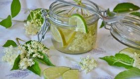 Holunderbl&uuml;te &ndash; Lecker und gesund