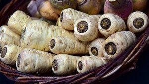 Pastinaken &ndash; das vergessene Knollengem&uuml;se