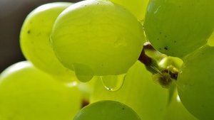 Vorteile von Traubensaft