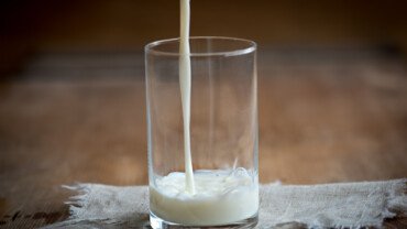Hanfmilch &ndash; die gesunde Pflanzenmilch