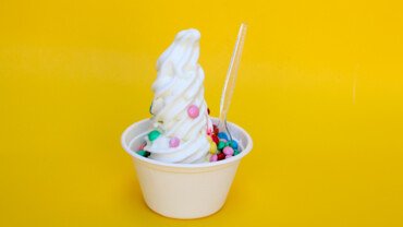 Frozen Yoghurt
