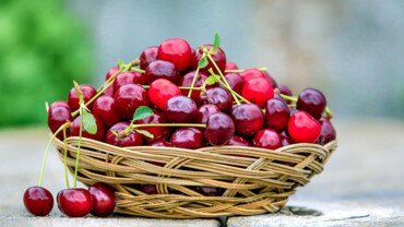 Sommerzeit ist Kirschenzeit