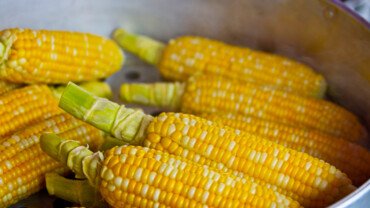 Mais &ndash; gelb und gesund