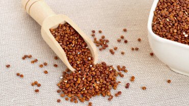 Quinoa &ndash; klein aber kraftvoll