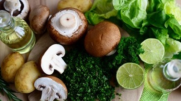 Pilze und ihre Kraft