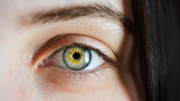 Aphantasie &ndash; wenn die visuelle Vorstellungskraft fehlt