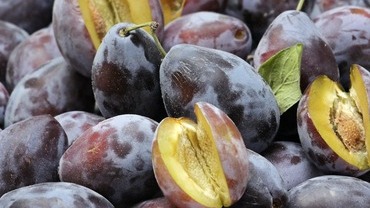 Pflaumen – gut für die Verdauung Pflaumen – gut für die Verdauung