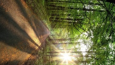 Internationaler Tag der psychischen Gesundheit