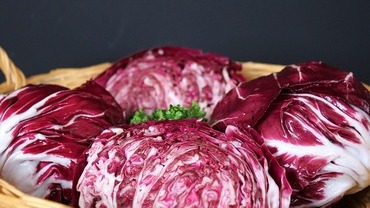 Rotkraut – gesundes Wintergemüse Rotkraut – gesundes Wintergemüse