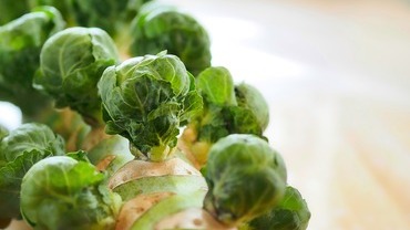 Rosenkohl – das gesunde Wintergemüse Rosenkohl – das gesunde Wintergemüse