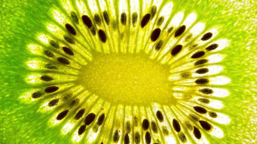 Kiwi &ndash; die Powerfrucht