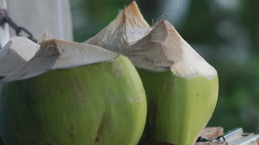 Kokoswasser