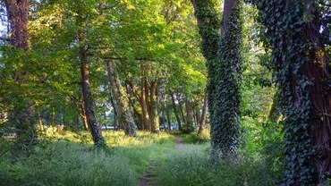 Waldbaden Waldbaden