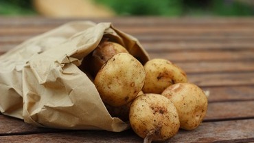 Kartoffelprotein Kartoffelprotein