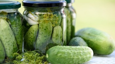 Fermentierte Lebensmittel