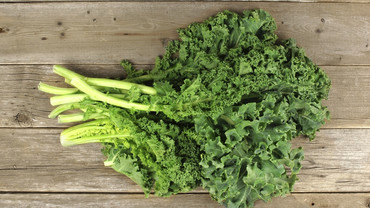 Gesunde Pflanzenteile &ndash; essen statt wegwerfen