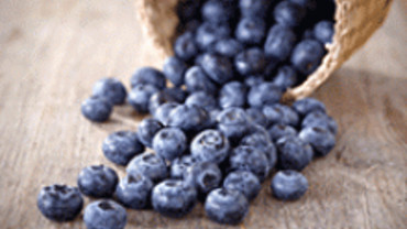 Blaubeeren &ndash; die gesunde Versuchung 