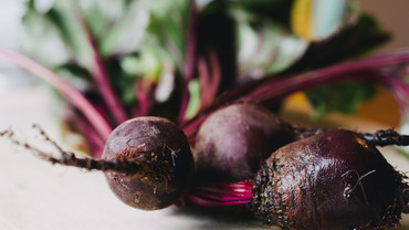 Rote Bete &ndash; rot, rund und gesund