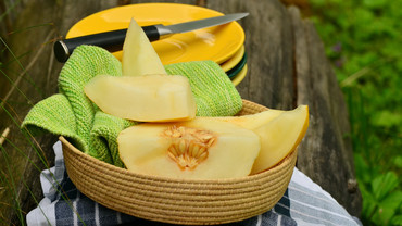 Honigmelone