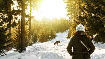 10 000 Schritte pro Tag