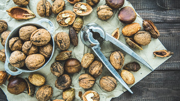 Brainfood &ndash; Leistung geht durch den Magen