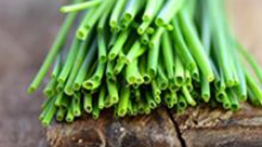 K&uuml;chenkr&auml;uter Einmaleins: Schnittlauch