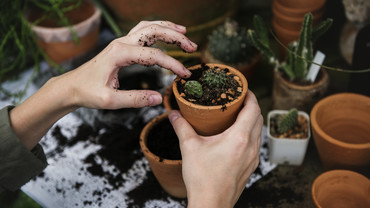 Gartenarbeit ist gut f&uuml;rs Gem&uuml;t