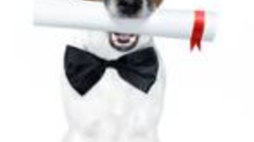 Spaziergänge helfen bei Nikotinentzug Spaziergänge helfen bei Nikotinentzug