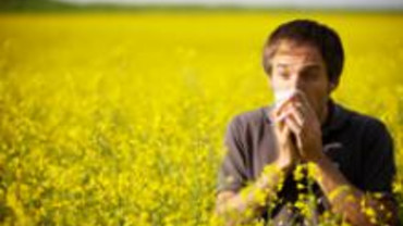 Ist es eine Erk&auml;ltung oder doch eine Allergie?