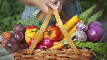 Tomaten &ndash; rot, rund und gesund