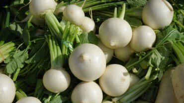So gesund sind Mair&uuml;bchen