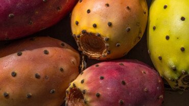 Kaktusfeige &ndash; stachelige Schale, weicher Kern