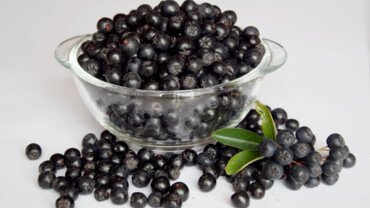 Trendbeere Aronia